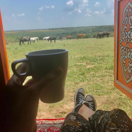 Dharma Horse Shelter Bungalows & Farmping シオーフォク エクステリア 写真