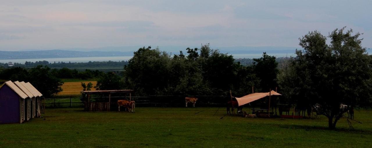Dharma Horse Shelter Bungalows & Farmping シオーフォク エクステリア 写真