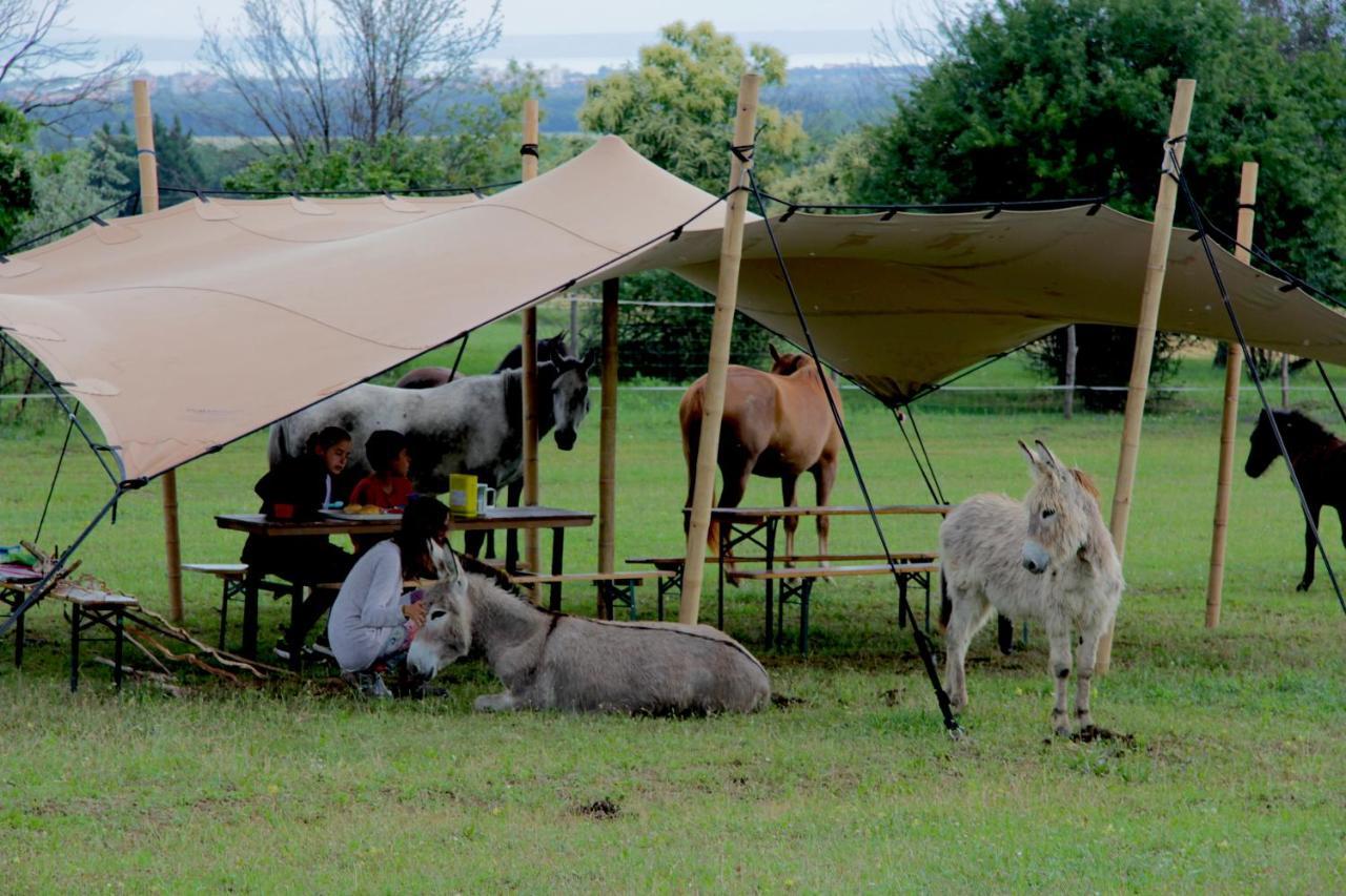 Dharma Horse Shelter Bungalows & Farmping シオーフォク エクステリア 写真