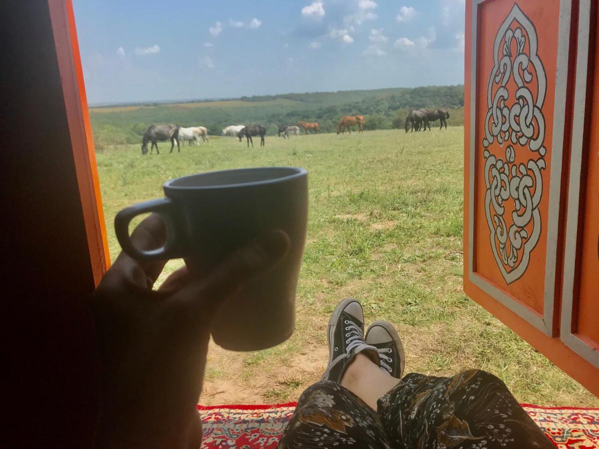 Dharma Horse Shelter Bungalows & Farmping シオーフォク エクステリア 写真